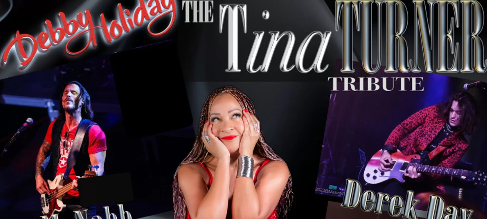 The Tina Turner Tribute